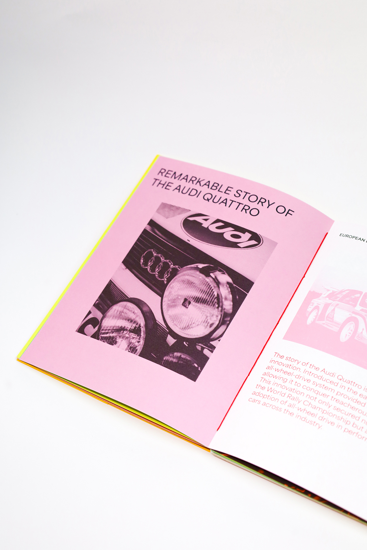 Publication Image