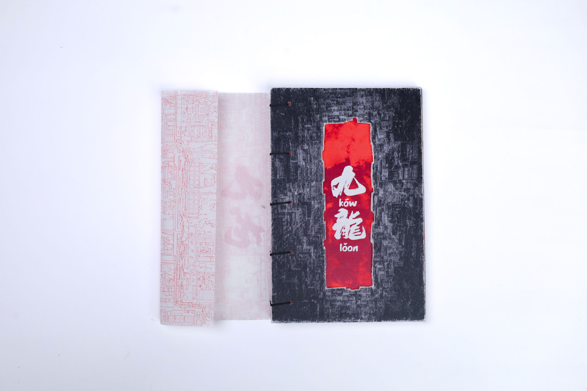 Publication Image