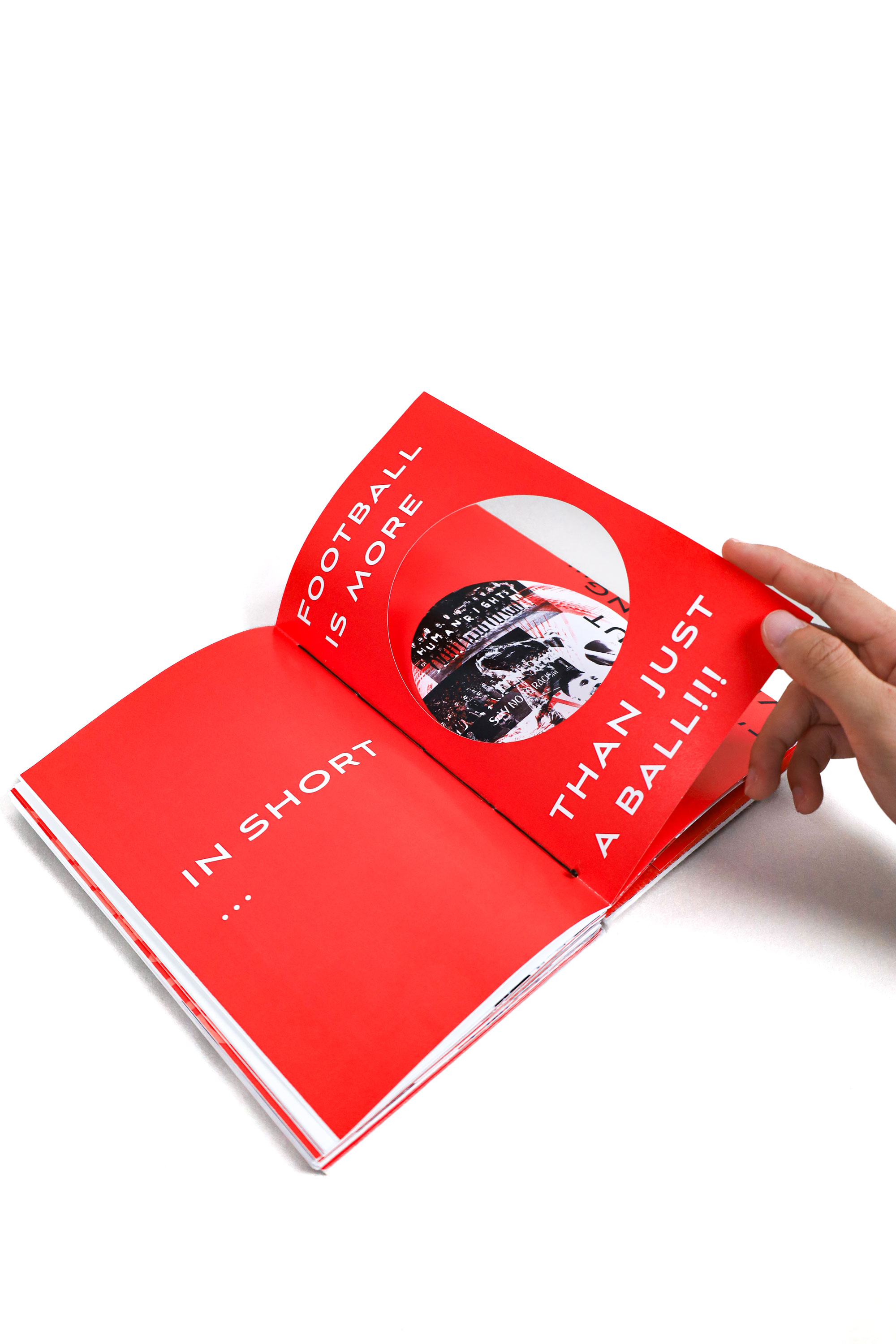 Publication Image