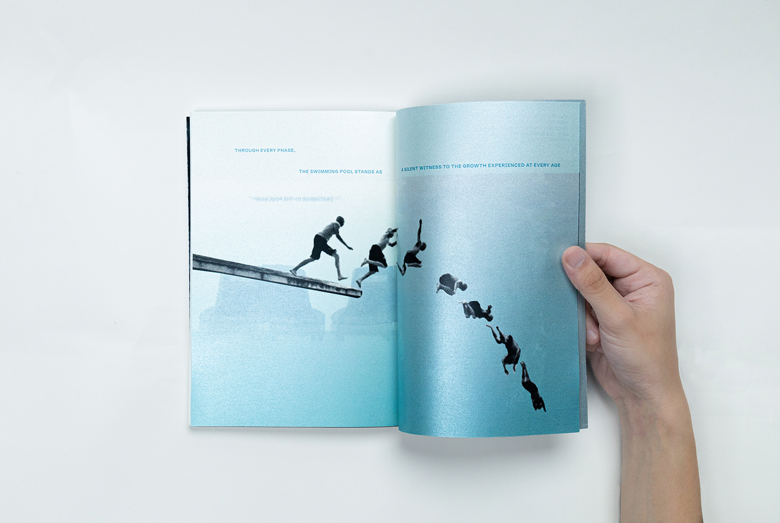 Publication Image