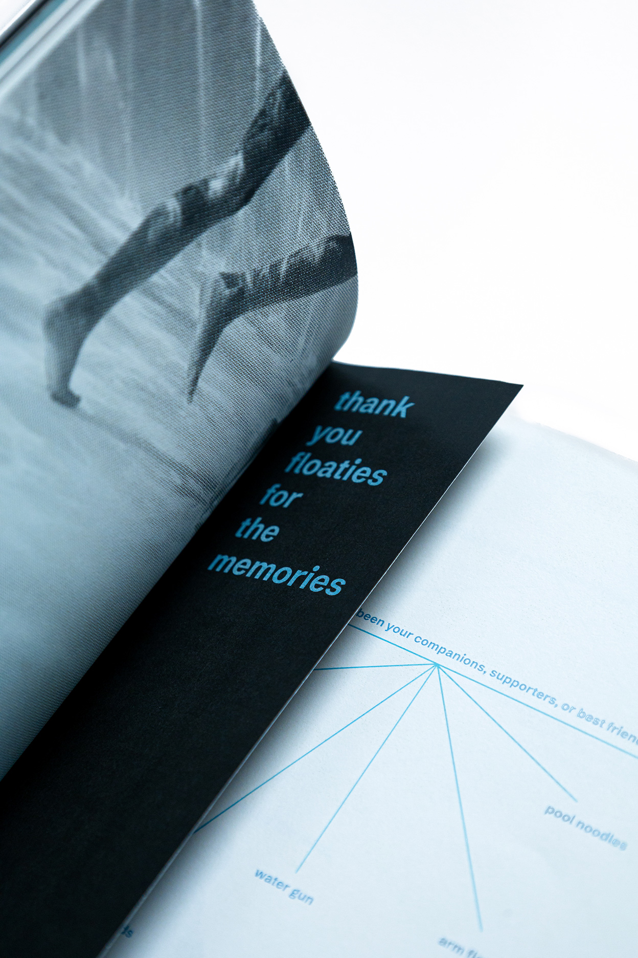 Publication Image