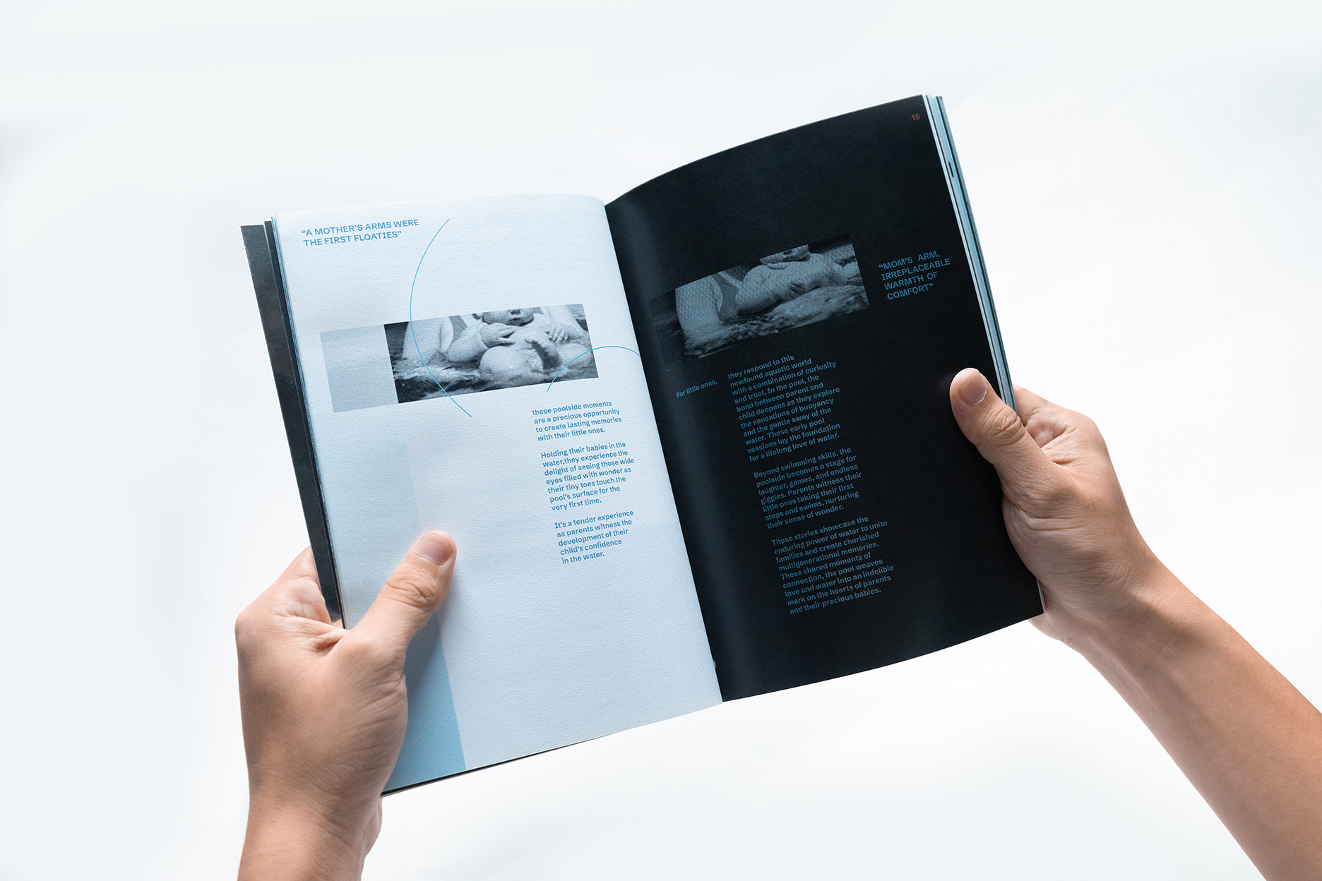Publication Image